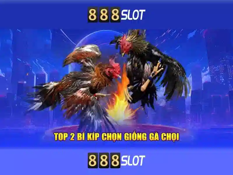 888slot: Tổng quan về nền tảng chơi slot trực tuyến