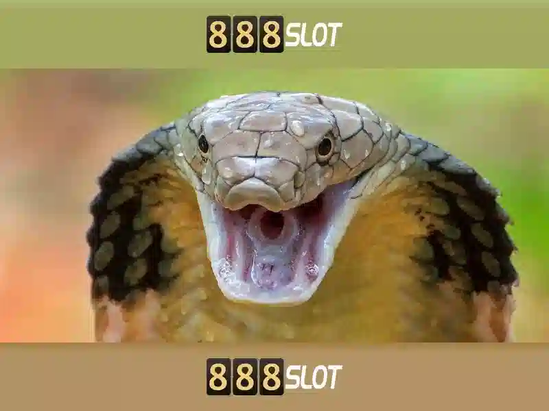 Tổng quan về lambang 888 slot và các đối tác trong hệ sinh thái