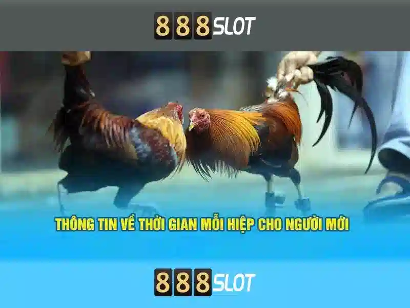 Ưu điểm và khuyết điểm