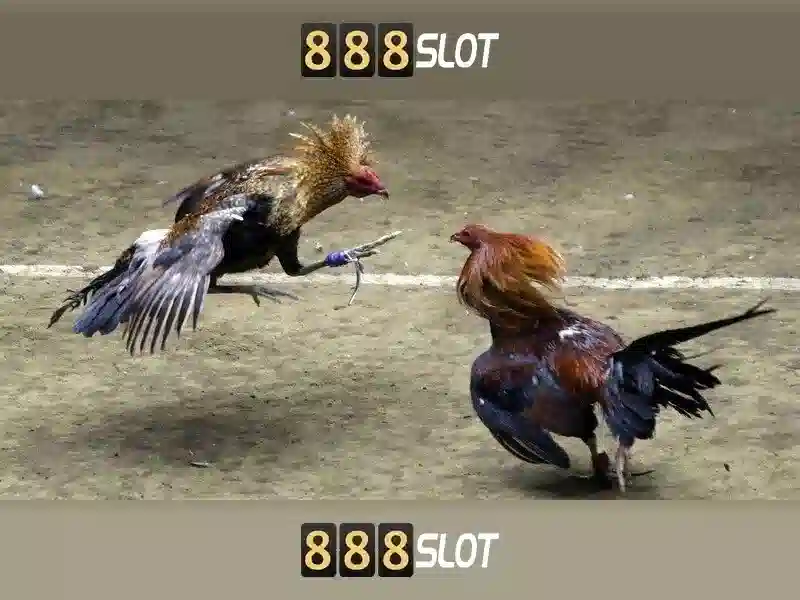 888slot - Nền casino trực tuyến hàng đầu