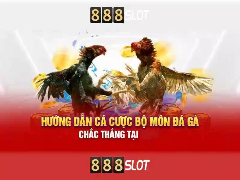 Sản phẩm và dịch vụ của unseen 888 slot