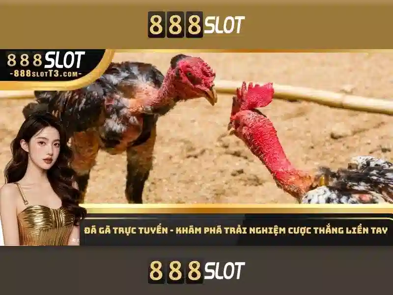 Giới thiệu về 888slot - Nền tảng chơi slot trực tuyến