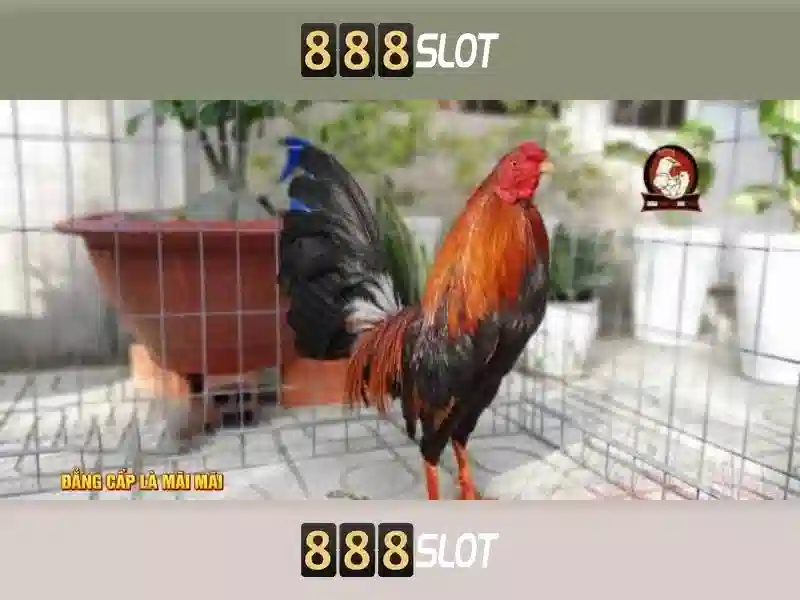 ex 888 slot – Khám phá nền tảng slot đỉnh cao và giá trị