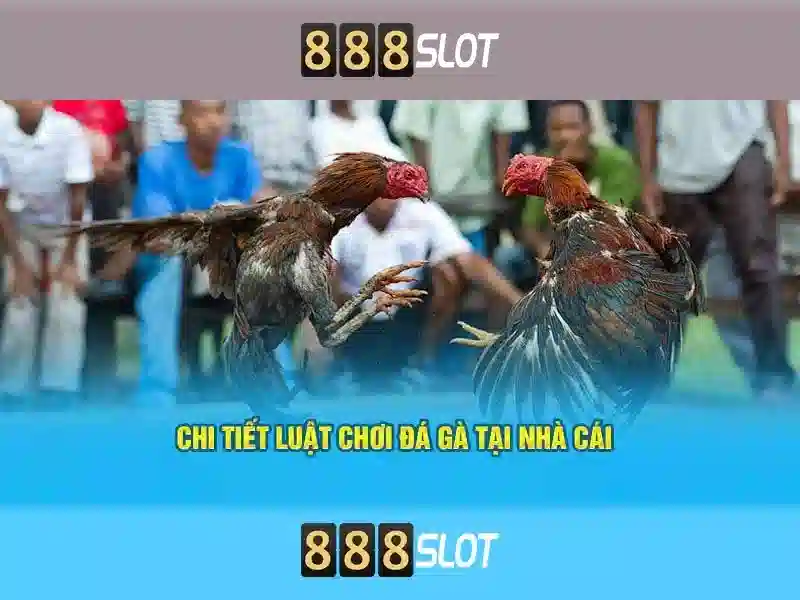 888slot - Đánh giá về casino trực tuyến và trò chơi slot