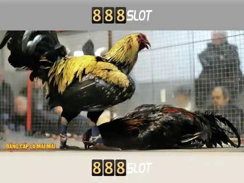 ex 888 slot – Khám phá nền tảng slot đỉnh cao và giá trị