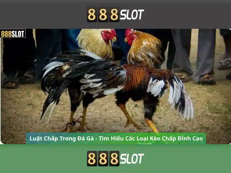 888slot: Cổng trò chơi casino trực tuyến đáng tin cậy
