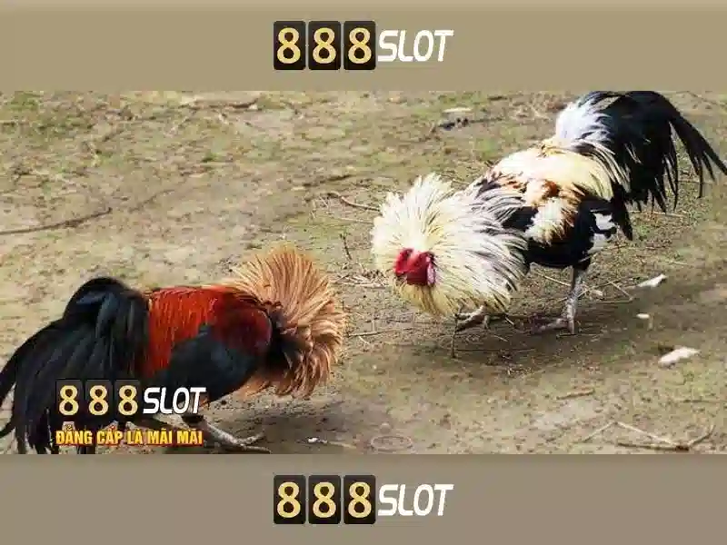 Giới thiệu về 888slot