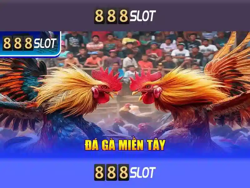 Giao diện người dùng và trải nghiệm