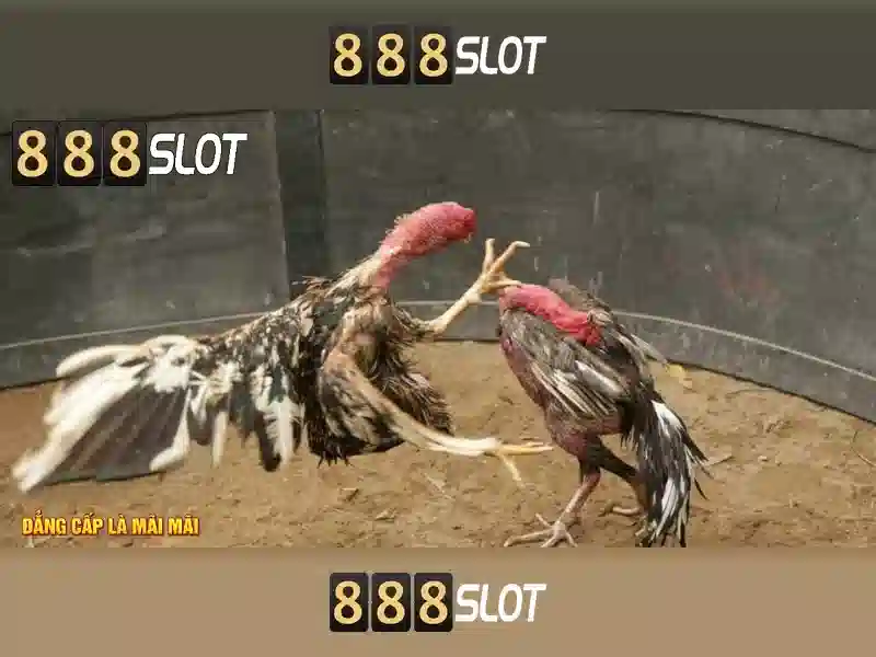 888slot - trải nghiệm chơi slot trực tuyến đỉnh cao