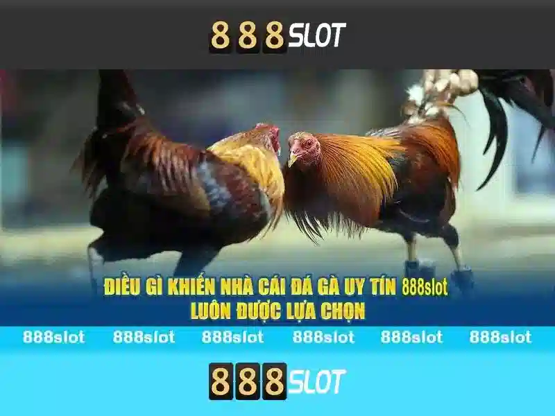 888slot là gì và tại sao nên chọn nền tảng này