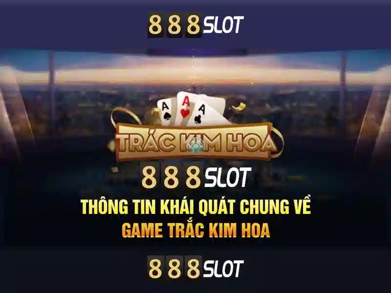 Trải nghiệm người dùng và giao diện