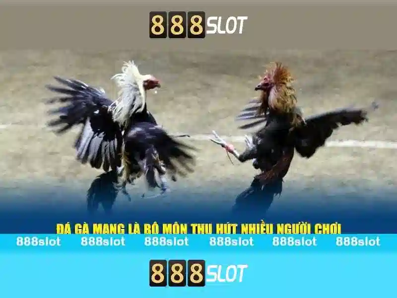 Kết luận và lời khuyên chơi bài slot