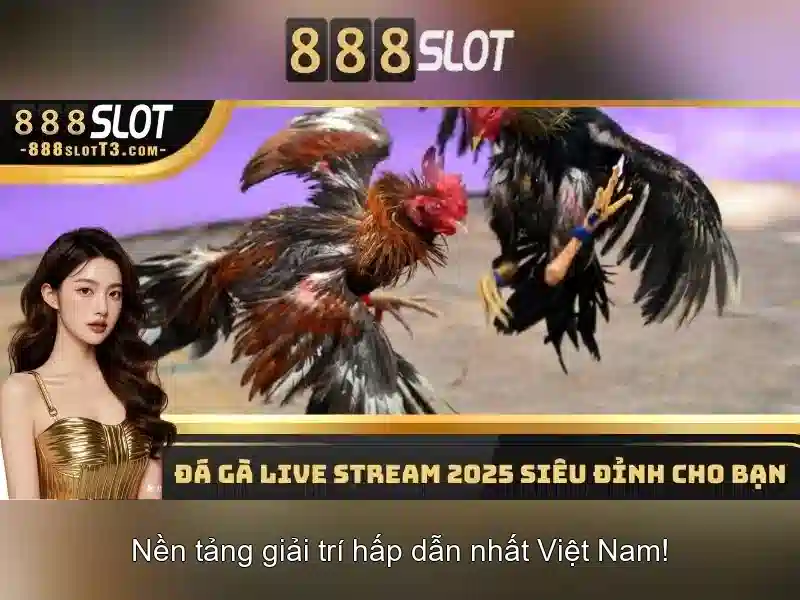 Trò chơi và chất lượng trải nghiệm\n\n<h>Triển khai trên thiết bị di động và trải nghiệm người dùng</h><li style=