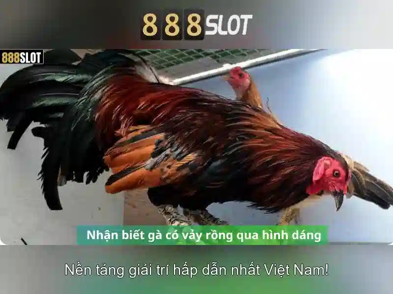 888slot - Trải nghiệm casino slot trực tuyến đỉnh cao