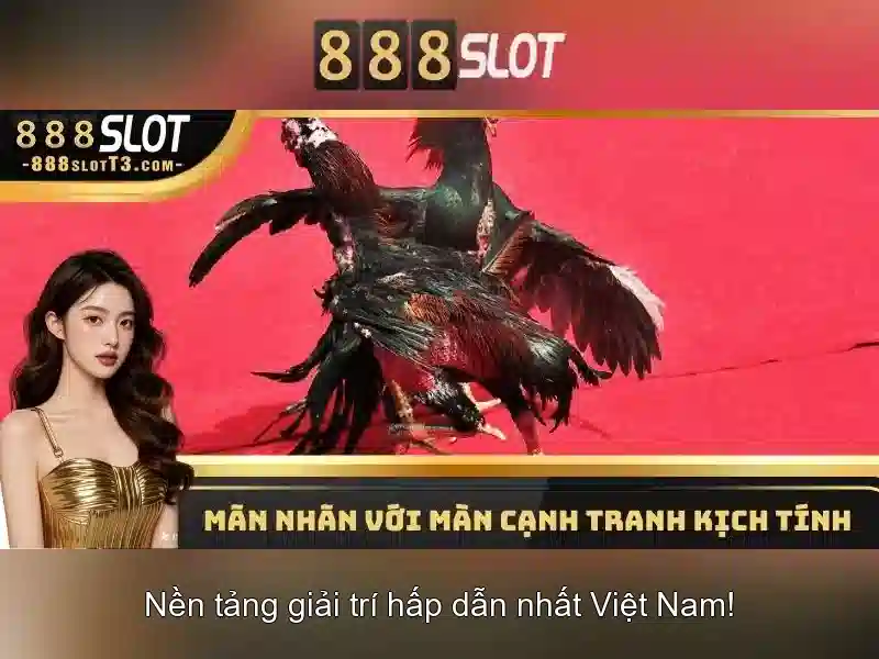 Khuyến mãi và trải nghiệm người dùng