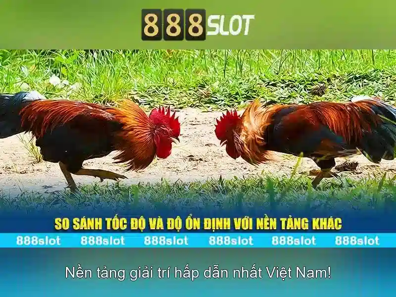 888slot - Đánh giá và Trải nghiệm Slot Trực Tuyến