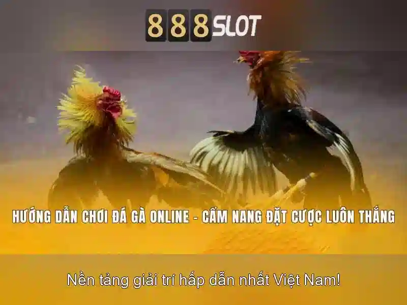 Khuyến mãi và ưu đãi\n<h3><b>An toàn và bảo mật</b></h3>\n<li style=