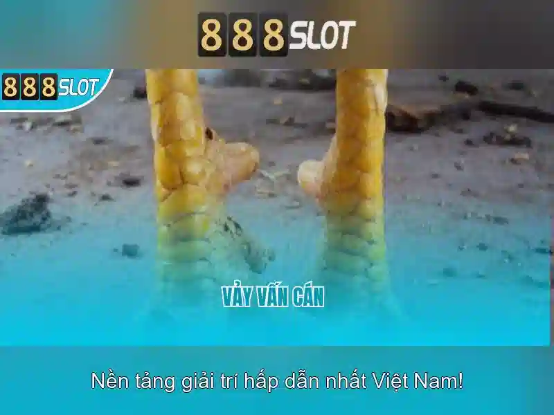 Trải nghiệm người dùng và trò chơi