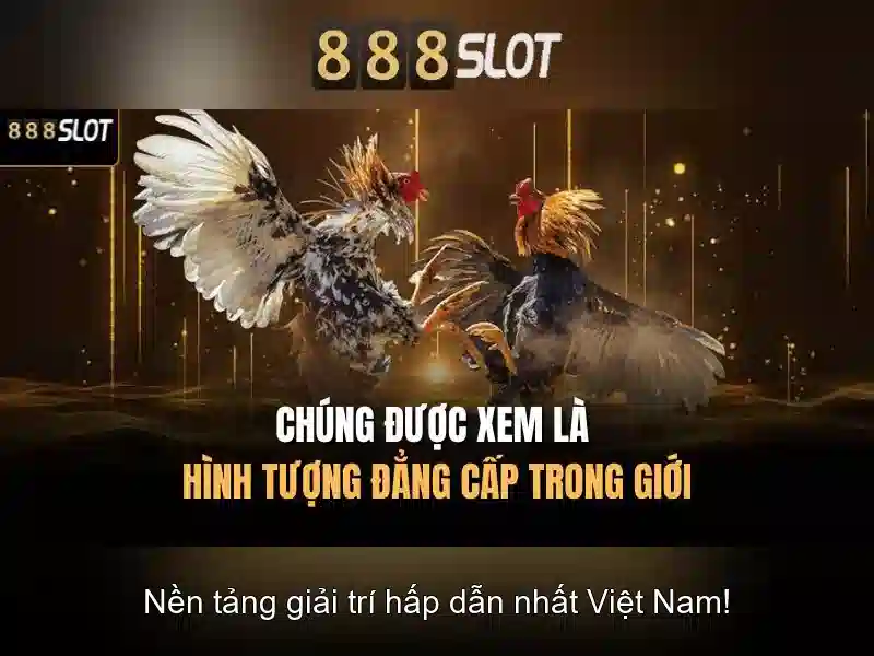 Khám phá 888slot: nền tảng casino trực tuyến đáng tin cậy