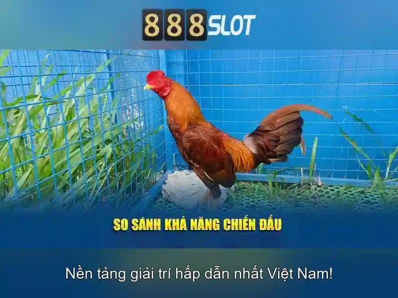 online slot 888 – Tổng quan và giá trị cốt lõi